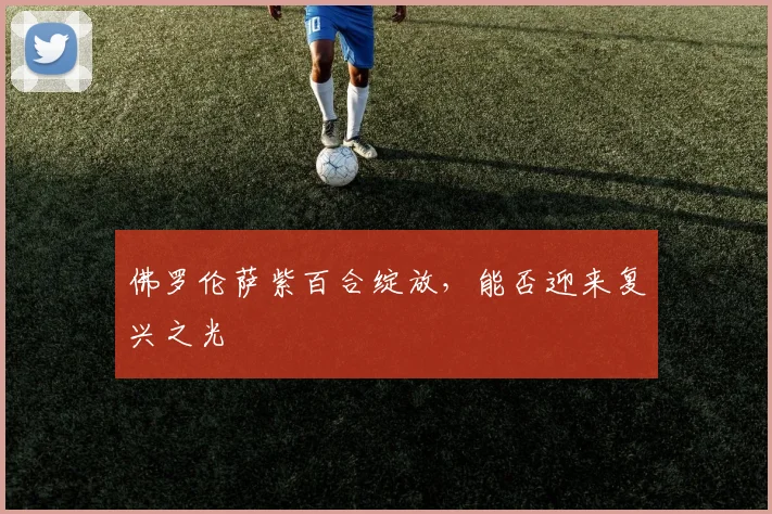 佛罗伦萨紫百合绽放，能否迎来复兴之光
